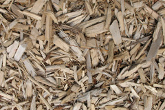 biomass boilers Brigflatts